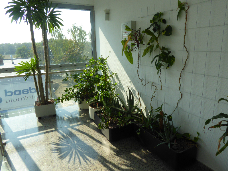 Immobilienportal immobilienportale