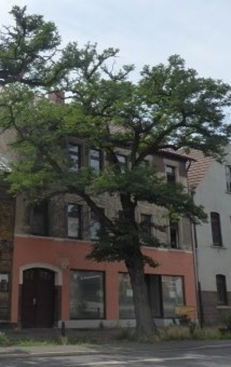 Immobilienportal immobilienportale