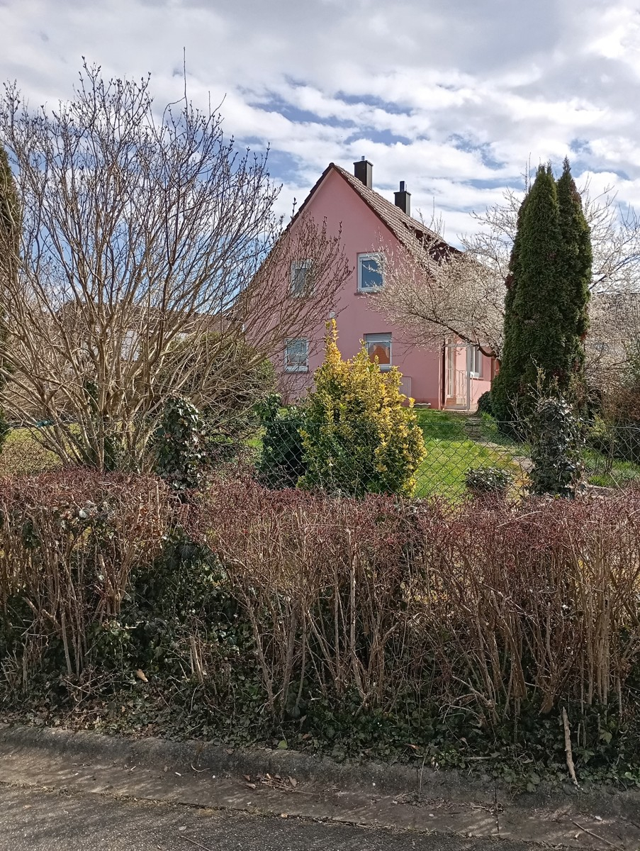 Immobilienportal immobilienportale