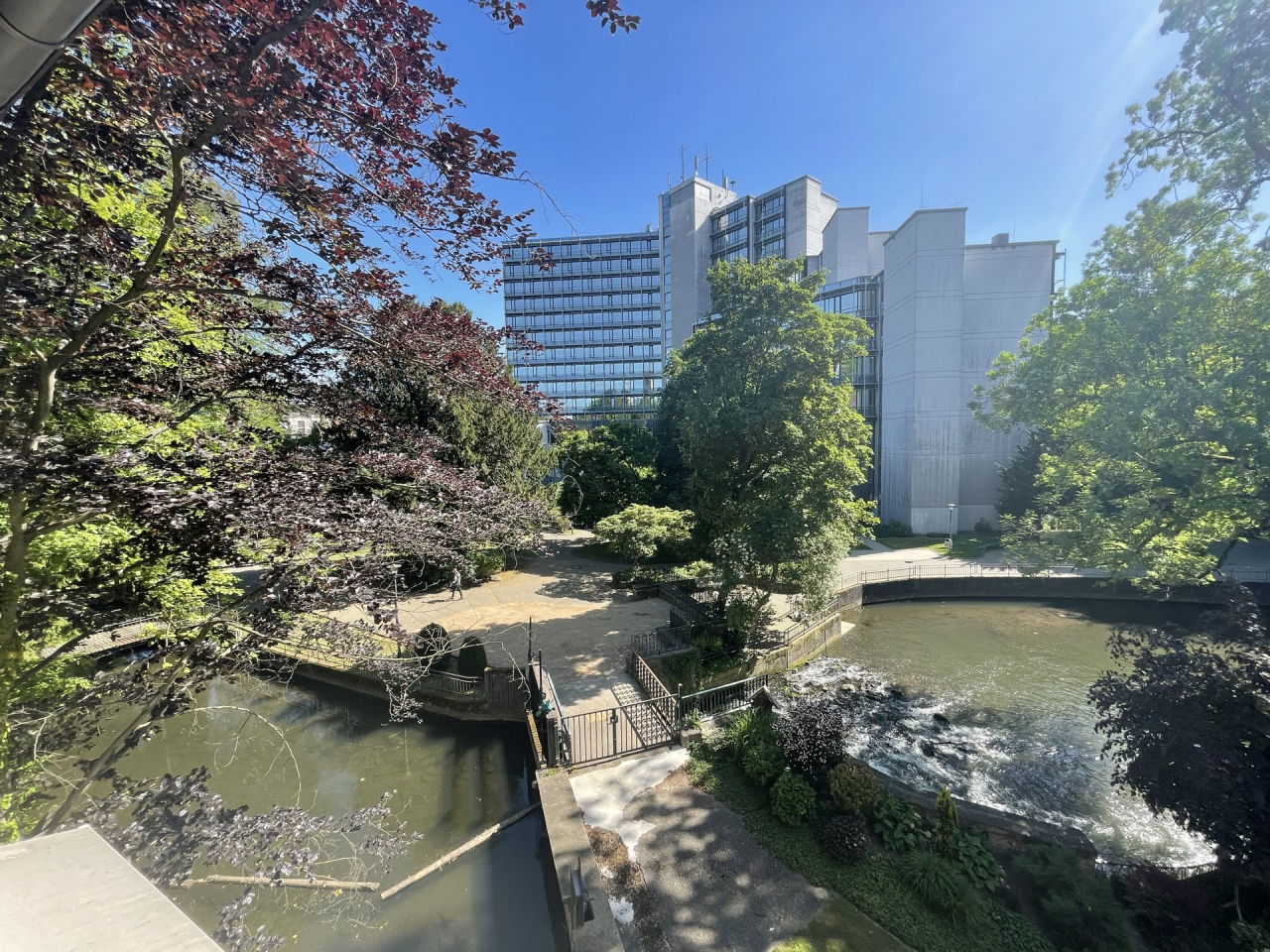 Immobilienportal immobilienportale