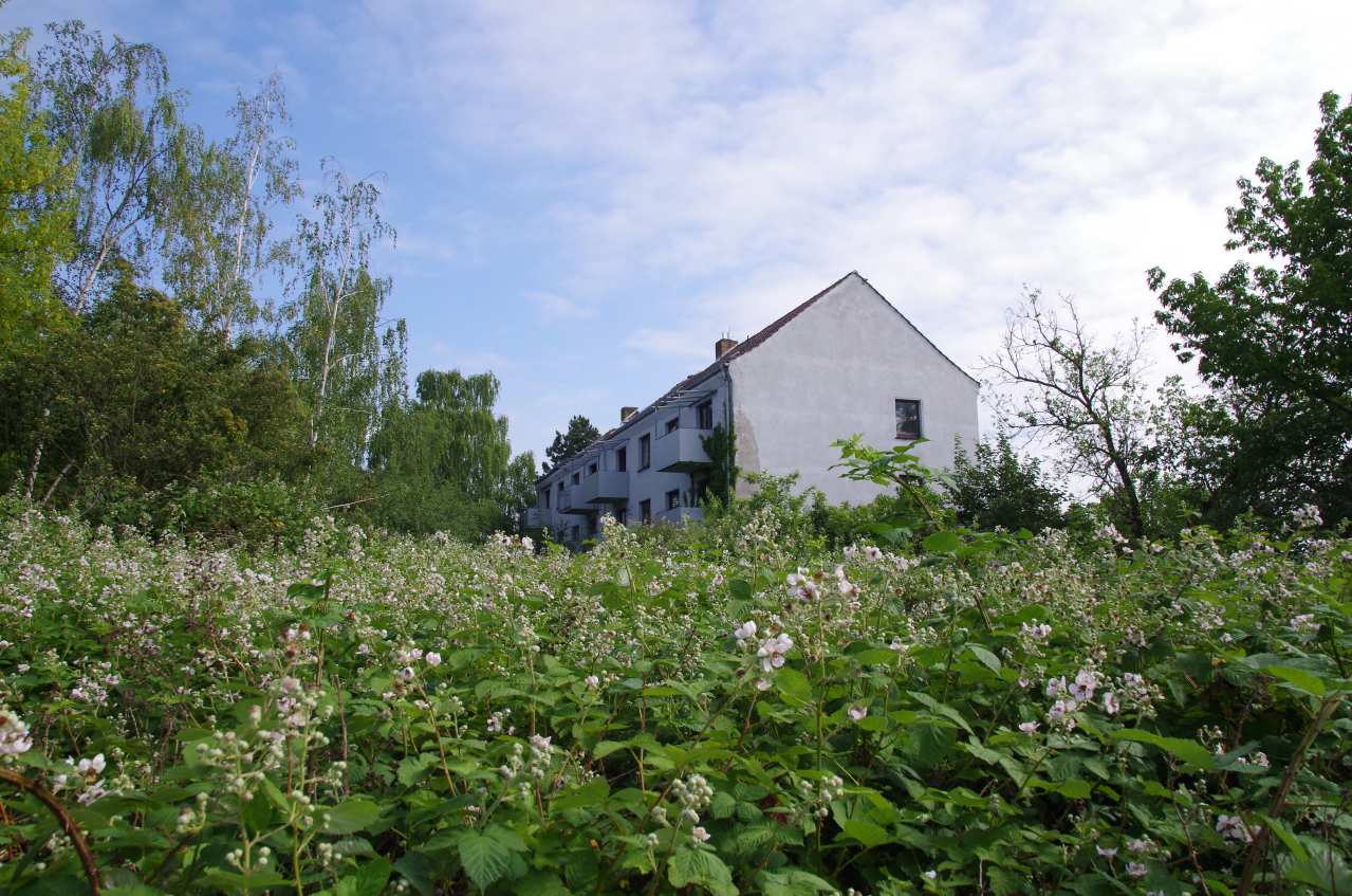 Immobilienportal immobilienportale