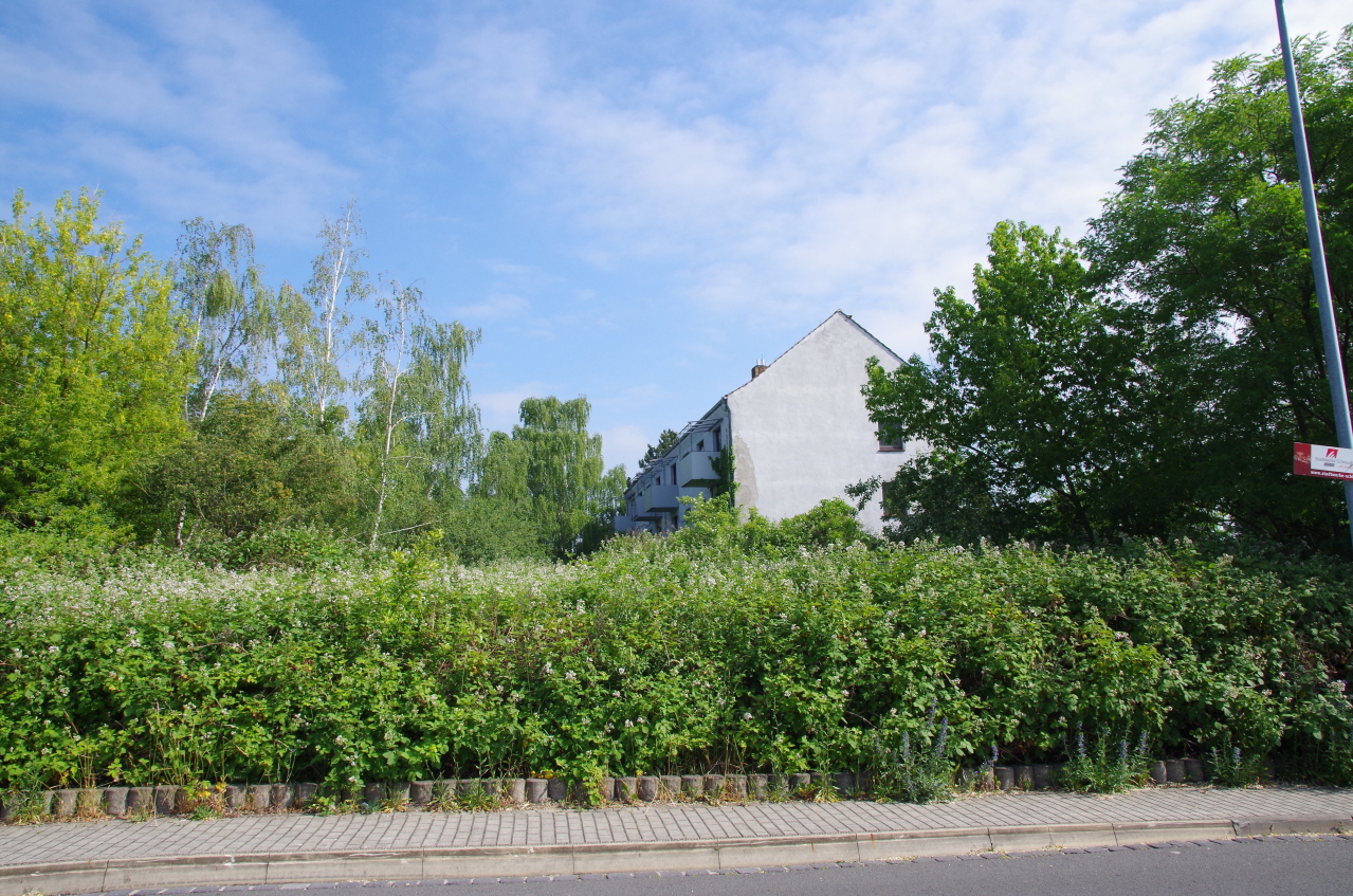 Immobilienportal immobilienportale