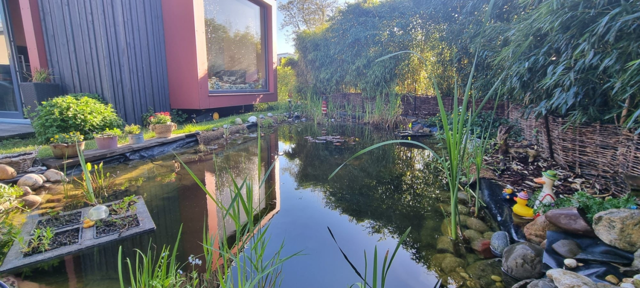 Immobilienportal immobilienportale