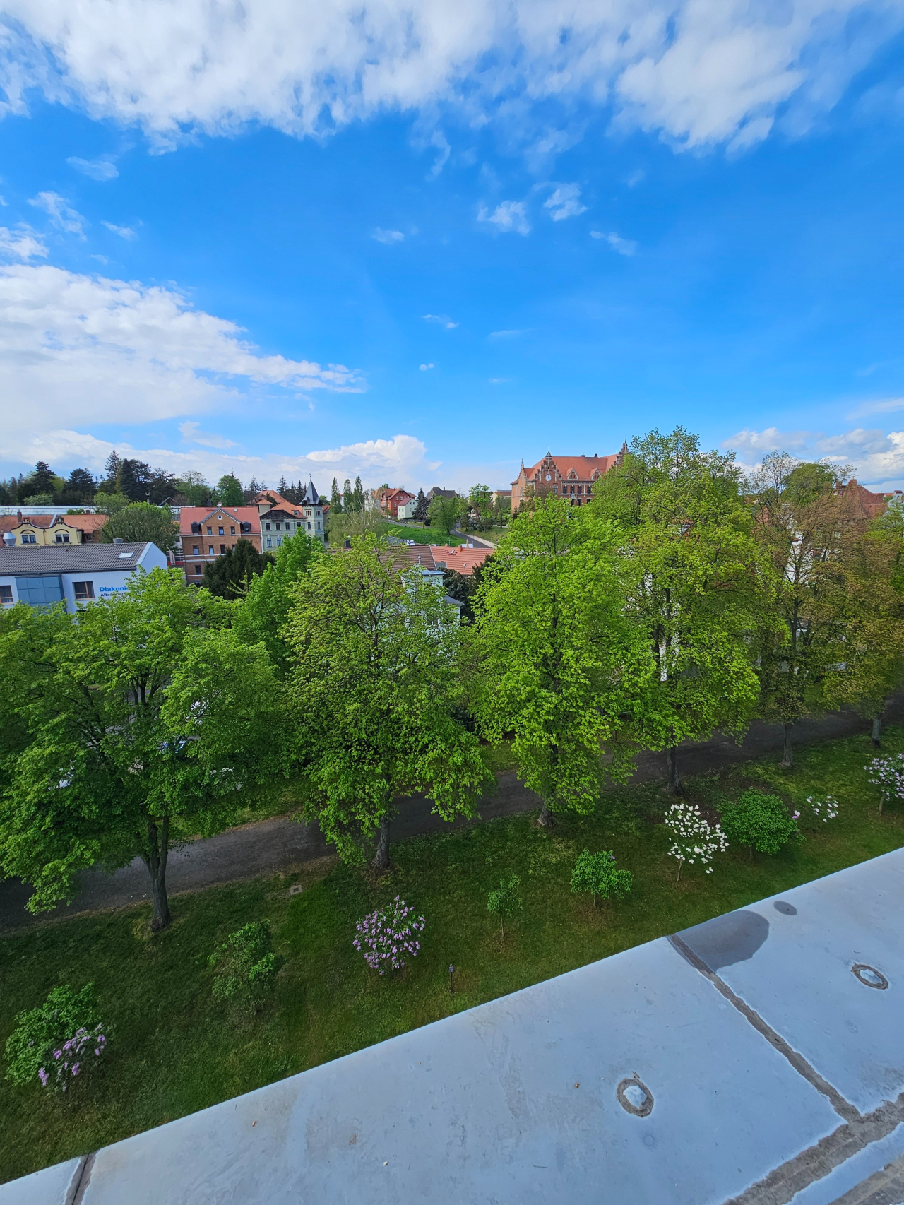 Immobilienportal immobilienportale