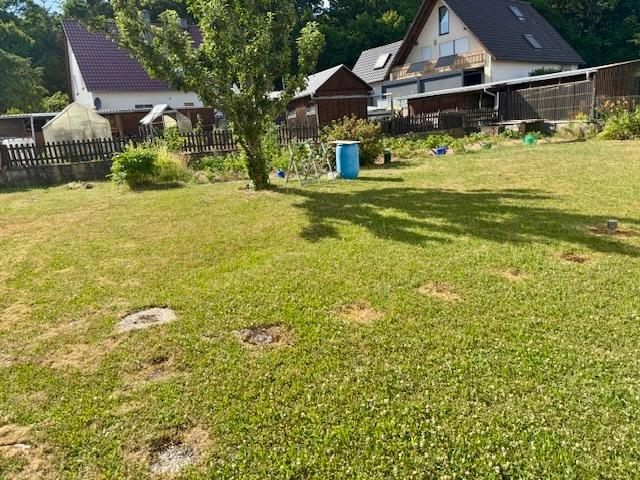 Immobilienportal immobilienportale