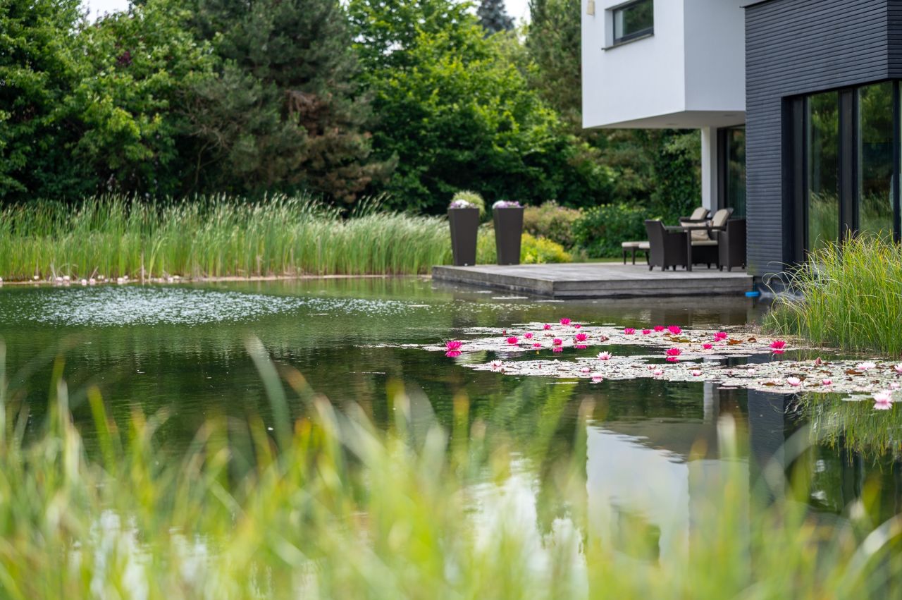 Immobilienportal immobilienportale