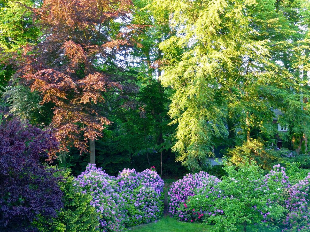 Immobilienportal immobilienportale