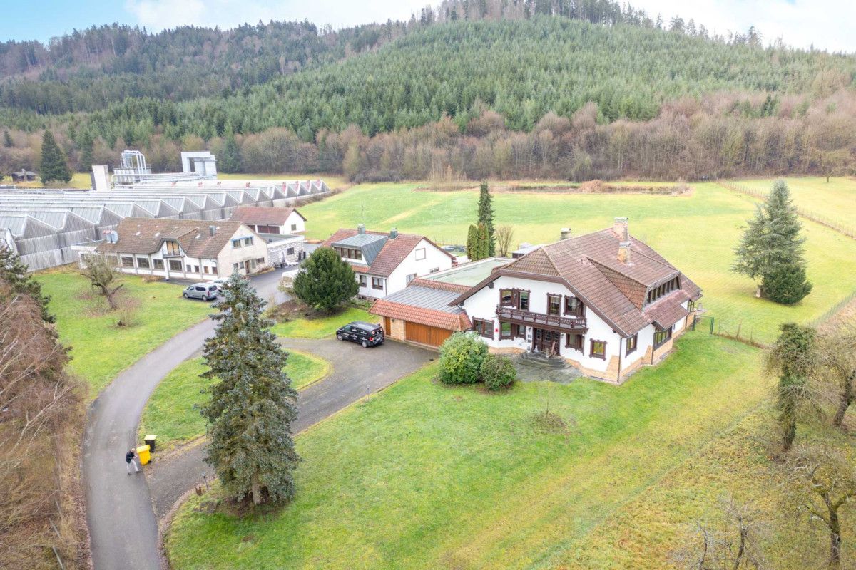 Immobilienportal immobilienportale