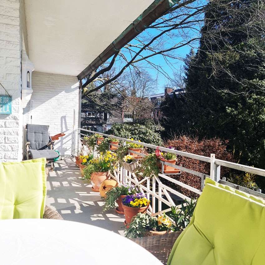 Immobilienportal immobilienportale