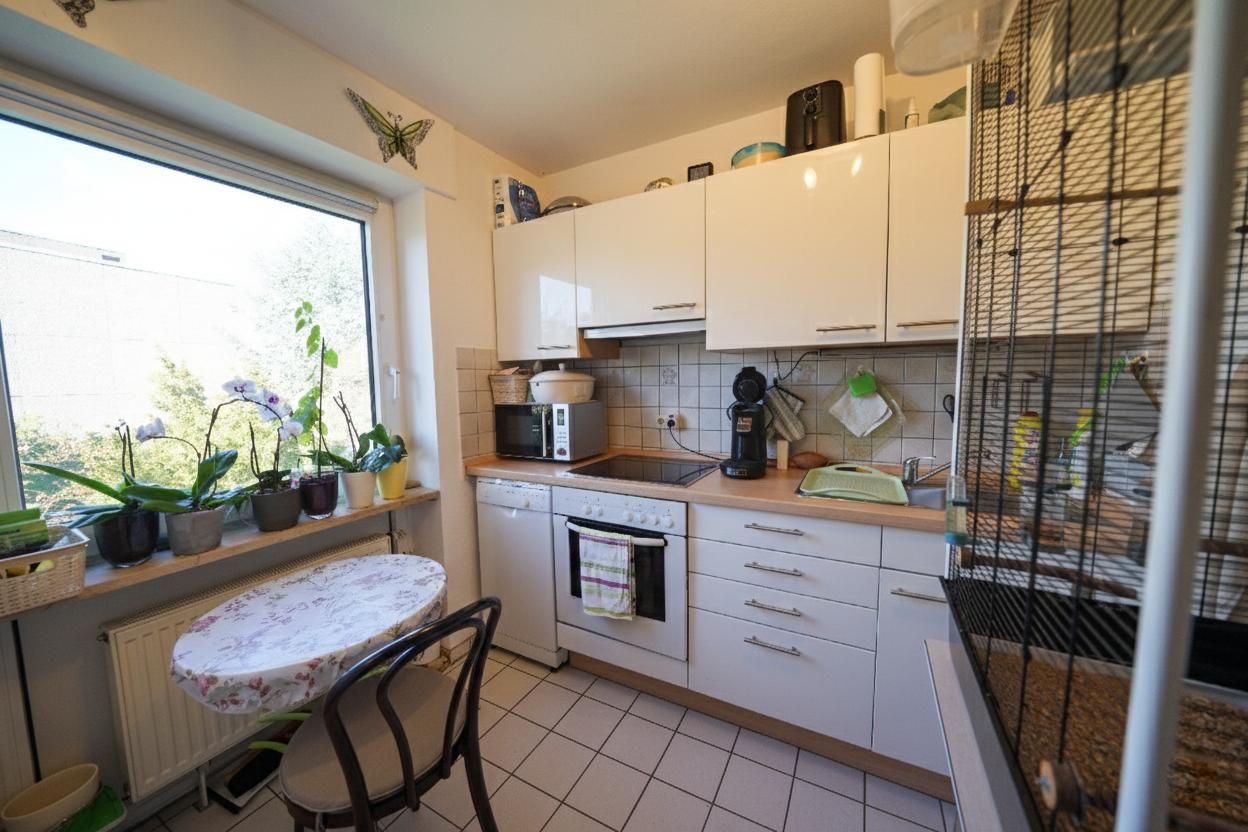 Immobilienportal immobilienportale