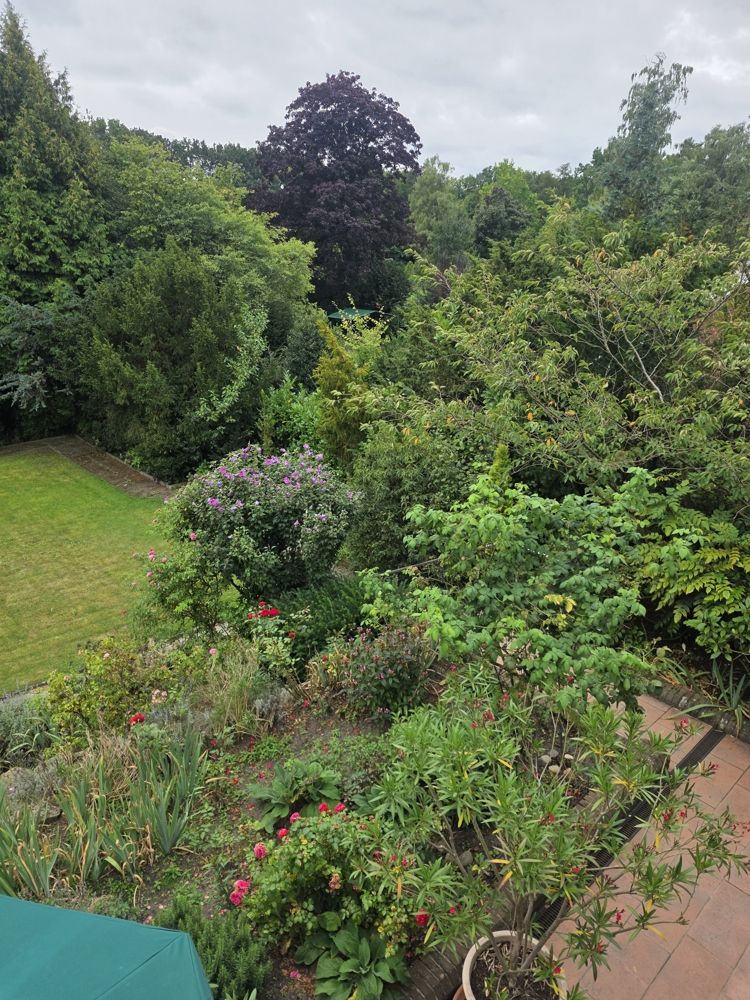 Immobilienportal immobilienportale