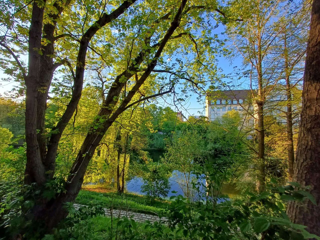 Immobilienportal immobilienportale