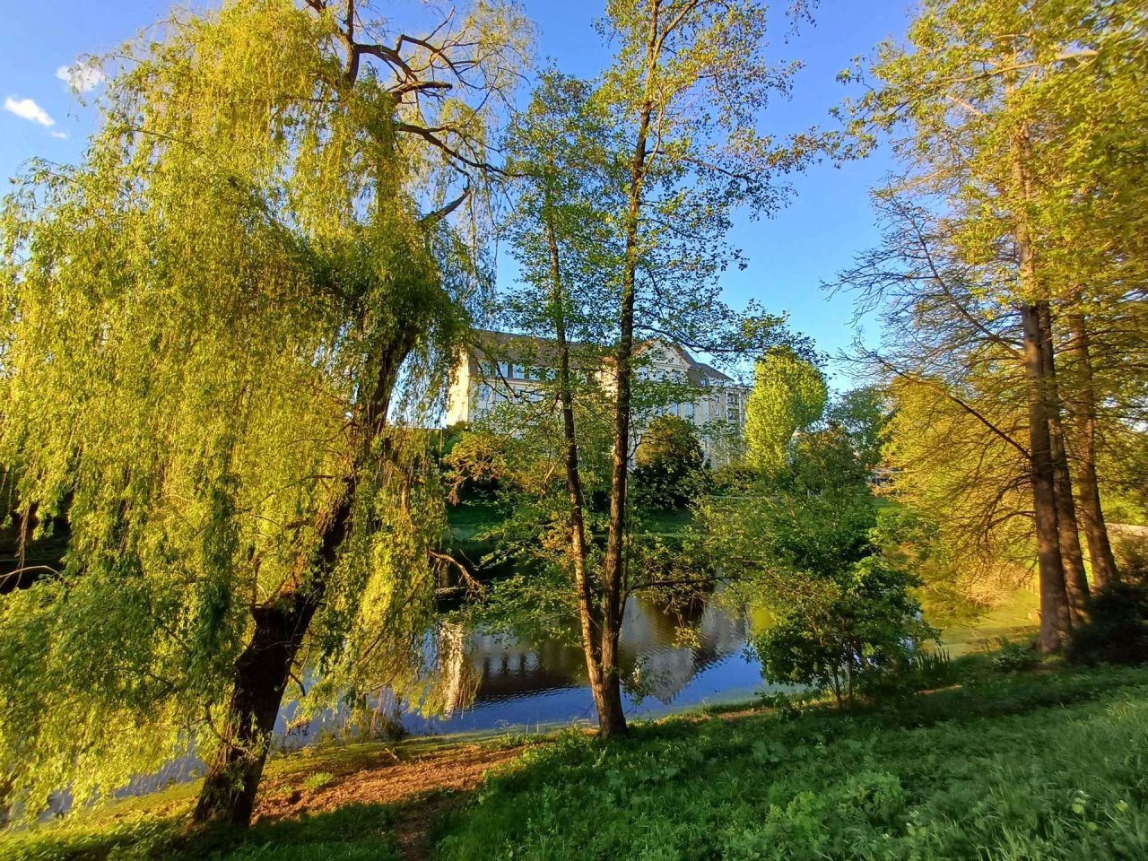 Immobilienportal immobilienportale