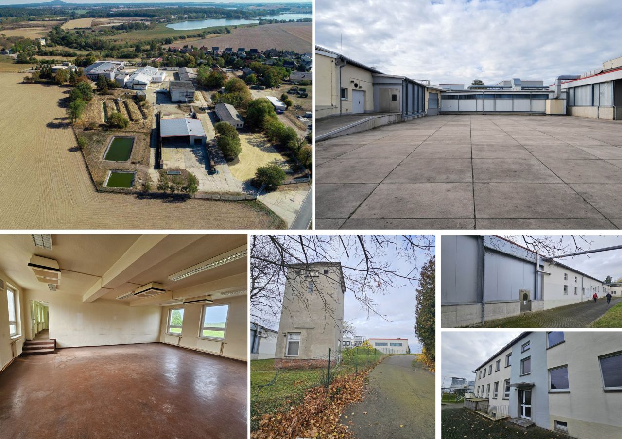 Immobilienportal immobilienportale