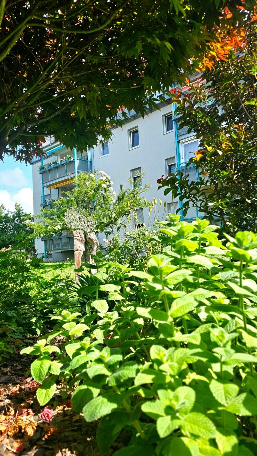 Immobilienportal immobilienportale