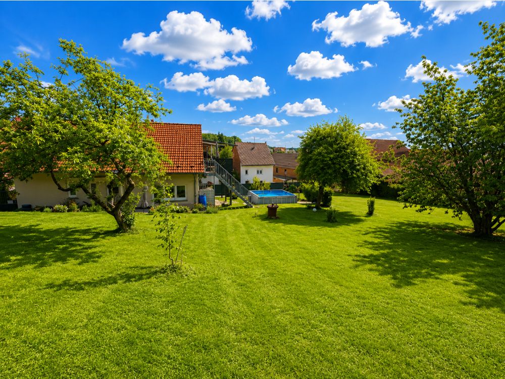 Immobilienportal immobilienportale