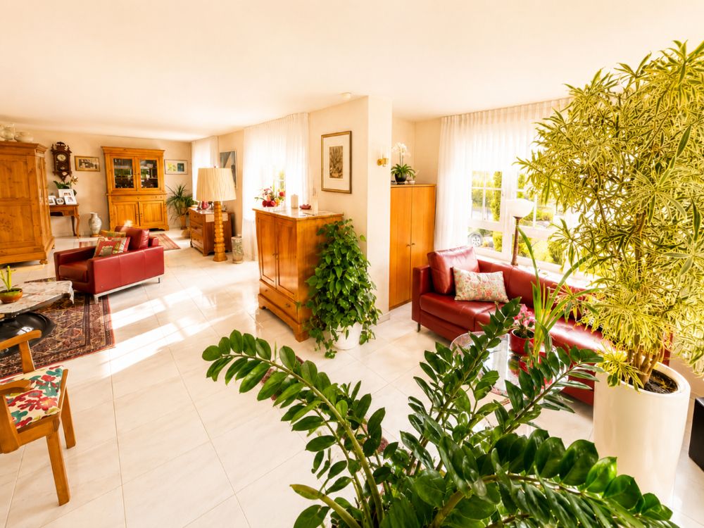 Immobilienportal immobilienportale
