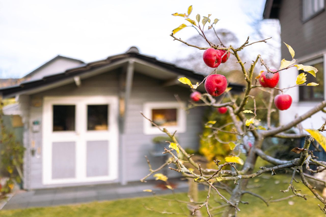 Immobilienportal immobilienportale