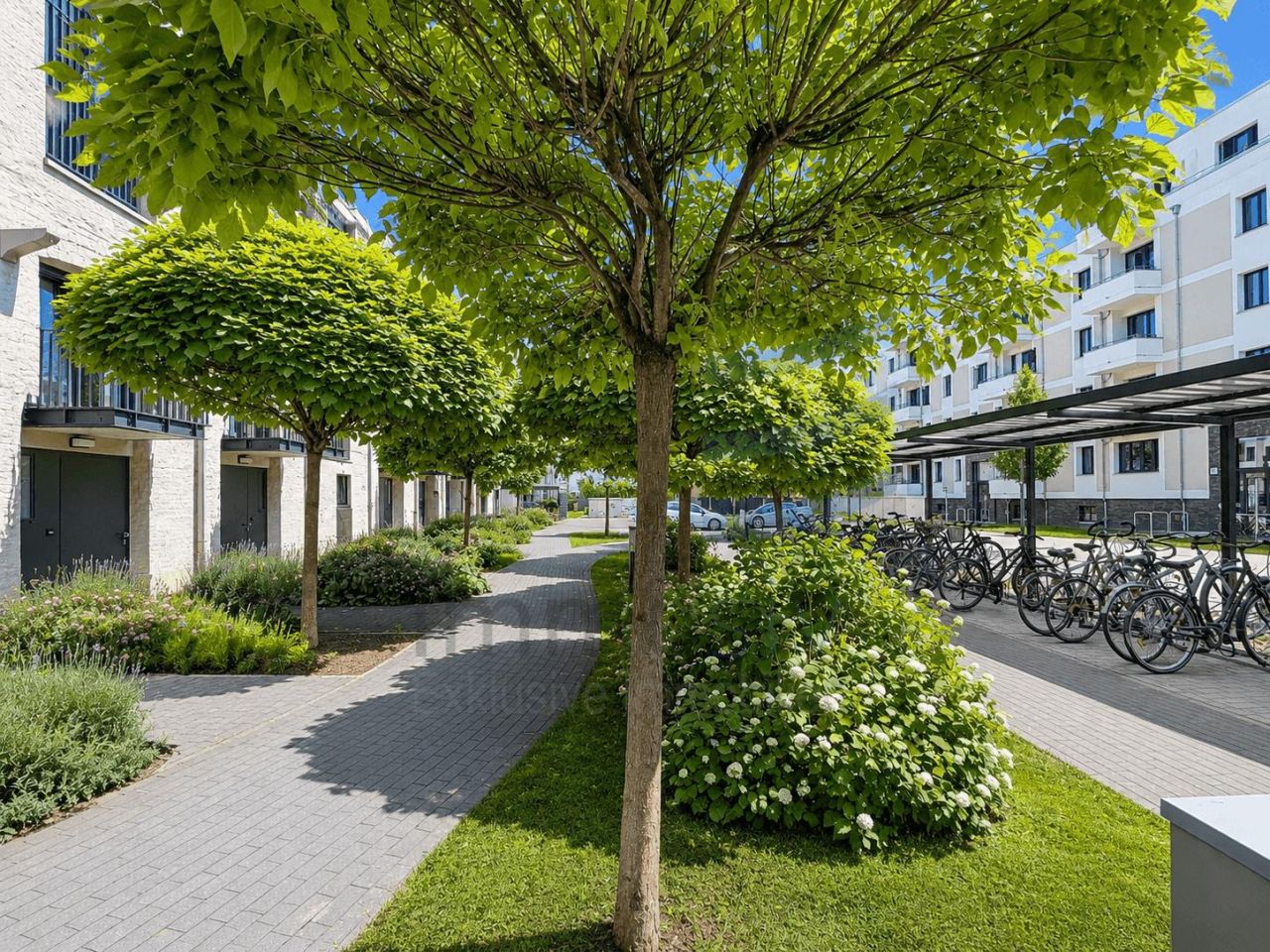 Immobilienportal immobilienportale