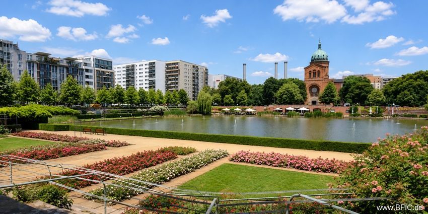 Immobilienportal immobilienportale