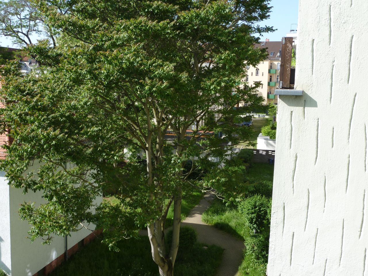 Immobilienportal immobilienportale